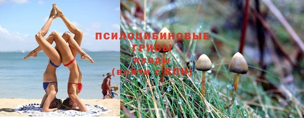 прущий лед Верея